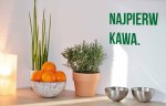 Najpierw kawa NAPIS NA ŚCIANĘ