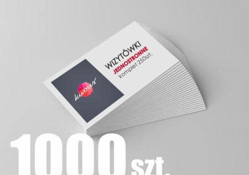 Wizytówki jednostronne 1000.jpg