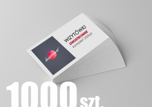 Wizytówki dwustronne 1000.jpg