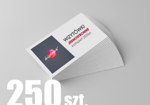Wizytówki jednostronne 250.jpg