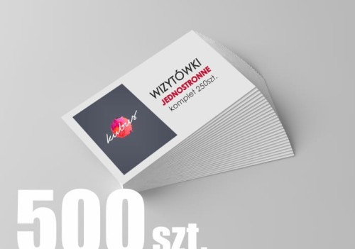 Wizytówki jednostronne 500.jpg