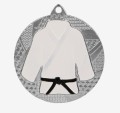judo2.jpg